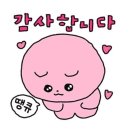 육쌈냉면대전 이미지