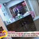 라보떼 Daum카페