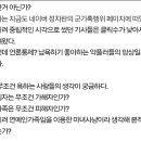 디씨 갤러리에 올라온 어느 군필갤러의 한효주 동생 한중위사건에 대한 좀 다른 생각 이미지