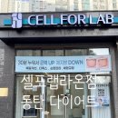 라온플랜 | 누워서 3시간 운동효과! 셀포랩 라온점 후기