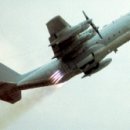 광포전자 이미지