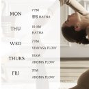 온정프라이빗필라테스 | 신사역 필라테스 요가 아이보리스튜디오 필라테스