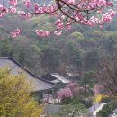 조화불교사 이미지