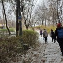 매봉산 유아숲체험원 이미지