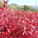 추평농장 이미지