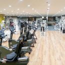 보보스스포츠 이미지