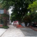 솔방울유치원 이미지