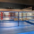 엘리트 복싱 Gym 이미지