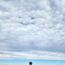 전남 화순 백아산 810m 이미지