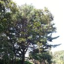 동업 농장 이미지