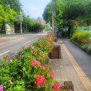 안산대학로 이미지