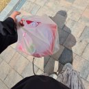 잠실 벚꽃 나들이, 커피 앤 시가렛, 셀프 속눈썹펍 후기 + 제품 추천, 만족오향족발, 랜돌프비어...