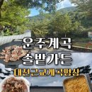 운주로 | 전북 완주 운주계곡 솔밭가든 평상,수영장 바비큐 시설 이용 후기 대전 근교 계곡, 평상 대여 추천