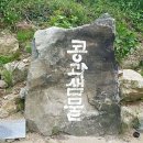 콩과샘물
