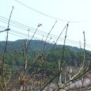 커피하우스117 이미지