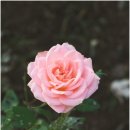 생앤화장품 네이버블로그