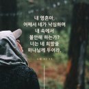 [‭시편 42:11] 내 영혼아 네가 어찌하여 낙망하며 어찌하여 내 속에서 불안하여 하는고 너는 하나님을 바라라 이미지