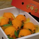 김진영농장 이미지