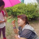 흥업초등학교 이미지
