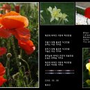 씨앗사랑 이미지