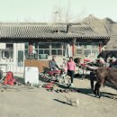 시골사람들 - 713109 | 시골사람들