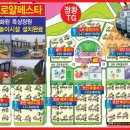 알레르망배곧점