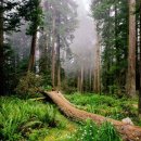 대변해양공원 이미지