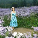 문희농장 이미지