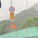울산종합관광안내소 | [울산 남구] 수국정원과 고래문화마을에서 볼 수 있는 오색수국 : 장생포 수국 페스티벌