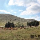 힐링&헬스 이미지