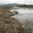 청도천2 이미지