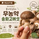 자주상주점 | 명실상주몰 송화고버섯 후기, 고기처럼 쫄깃한 산지직송 버섯 추천 현이네농원 꼼지락농부