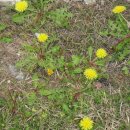 청북중학교 이미지