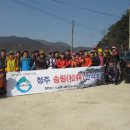송림(松林) 이미지