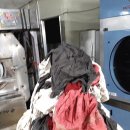 크린미타 이미지