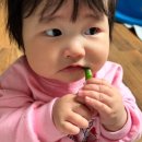 마라치킨피자 이미지