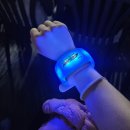 달달 콘서트 | 잔나비 콘서트 &lt;모든소년소녀들&gt; 후기 + 대구 여행