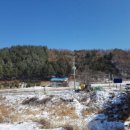 자운1리 마을회관 이미지