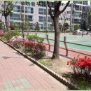 대주아파트경로당 이미지