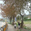 퇴촌중앙의원 이미지