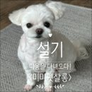 제로네 펫쌀롱 이미지