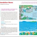 흰민들레소식 이미지