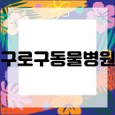 사랑으로동물병원 이미지