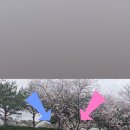 화순전통약과