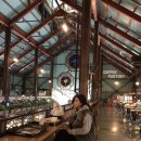 사랑인한의원 | 마곡한의원 1달차 다이어트한약 정주행 중 후기