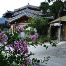 꽃과 한옥 이미지