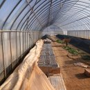 고추연구소농장 이미지