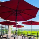 카페브로시스 이미지