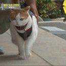 상귀농장 이미지