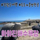 광범이네활어횟집 | 속초당일치기여행 고성 아야진해수욕장 물놀이 완전정복 주차팁 파라솔 요금시설 총정리 광범이네횟집 물회